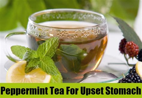 Peppermint Tea: A Natural Remedy For An Upset Stomach | Just Tea