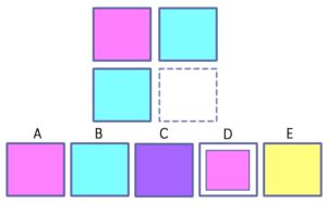 Free Sample Raven's Matrices Practice Tests and Questions - TestingMom.com