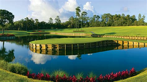 How many balls went into the water at No. 17 at TPC Sawgrass?