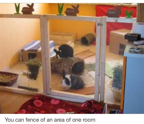 An indoor rabbit playpen ensures that owners can interact with their ...