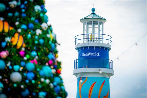 The Best Way to Experience SeaWorld's Christmas Celebration