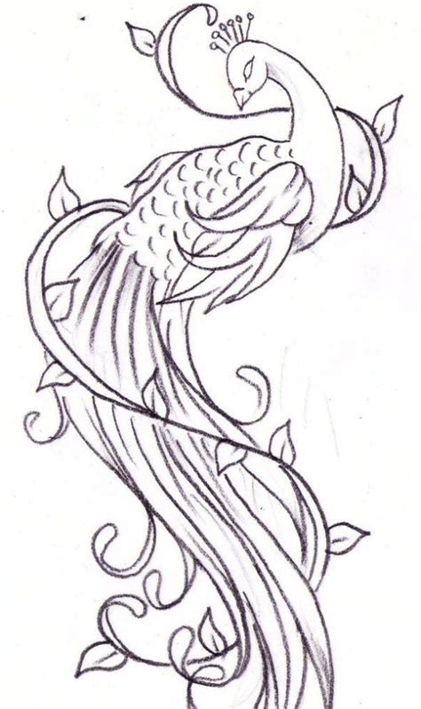 Peacock Tattoo Drawing at GetDrawings | Free download