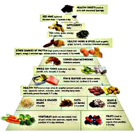 Food Pyramid 2014 - Viewing Gallery