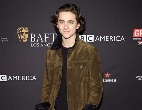 Timothee Chalamet from Golden Globes 2018 Party Pics | E! News