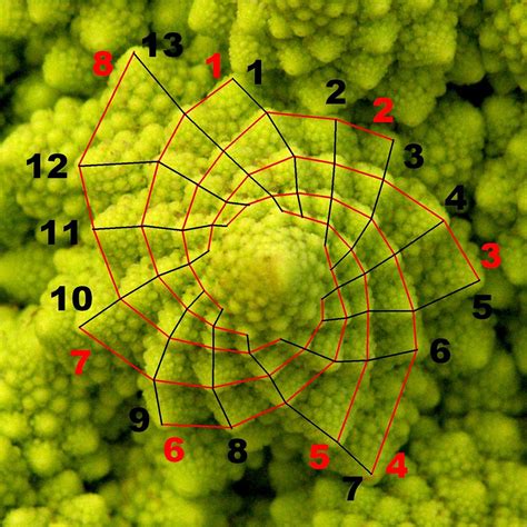 Chapter 2: Fibonacci / Swings « neoHarmonics.com