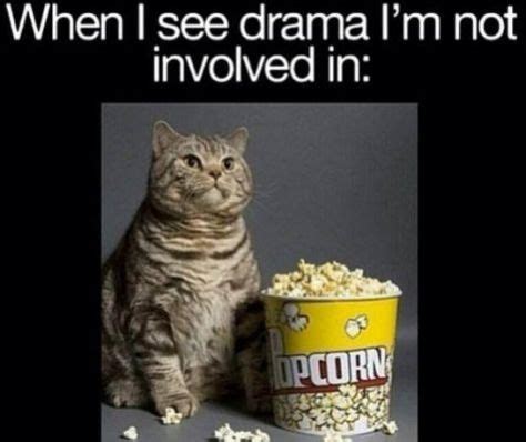 When I see drama I'm not involved | Crazy funny memes, Relatable, Funny ...