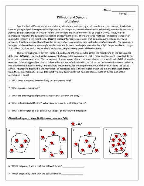 50 Passive And Active Transport Worksheet