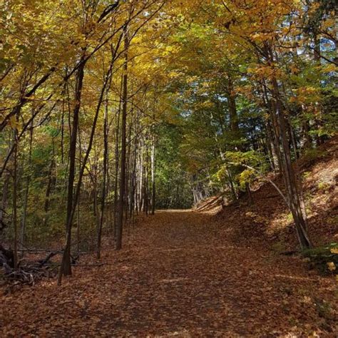 5 parks to see stunning fall foliage in Toronto (PHOTOS) | Lifestyle