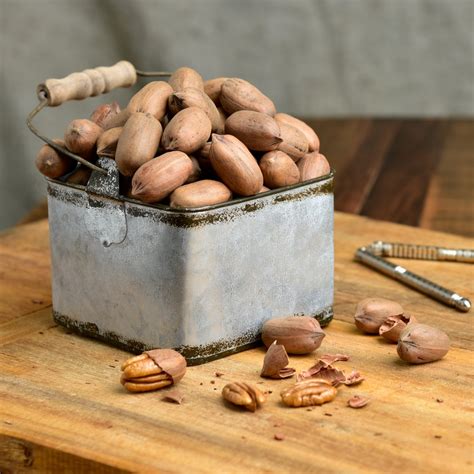 In-Shell Pecans (Whole Pecans), Free Shipping - Sunnyland Farms