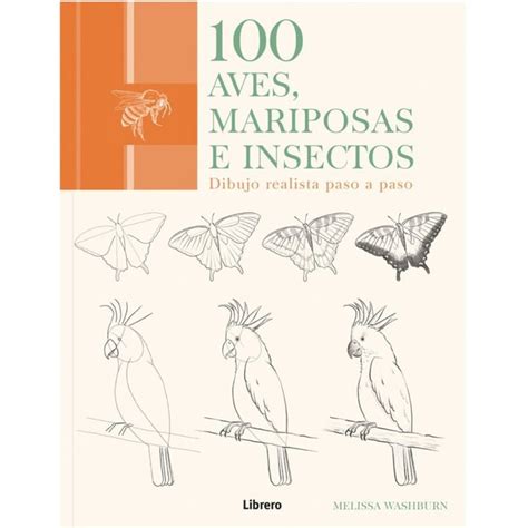 LIBRERO 100 Aves, Mariposas E Insectos: Dibujo Realista Paso A Paso ...