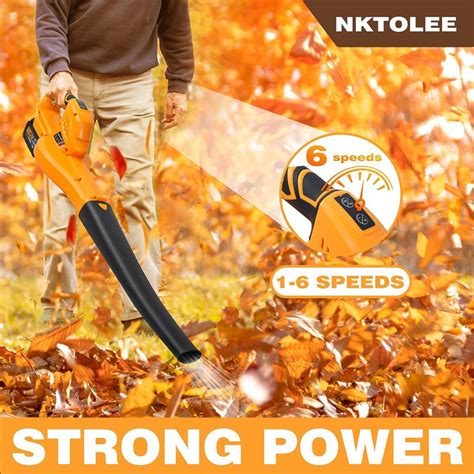 20V Leaf Blower Cordless with 2 Batteries Review