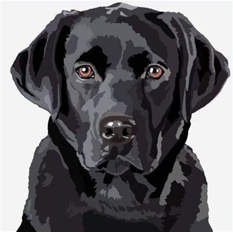 Pin by Celia Fuentes on dibujos perros in 2024 | Dog portraits art, Labrador art, Dog art