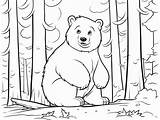 Printable Cinnamon Bear To Color  Coloring Page sketch template