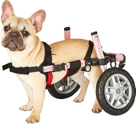 HandicappedPets Small Dog Wheelchair, Pink, 18-25 lbs, 12-15" leg - Chewy.com