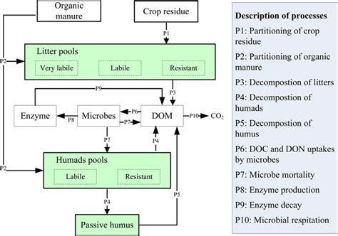 Structure of the soil organic matter (SOM) decomposition module in the ...