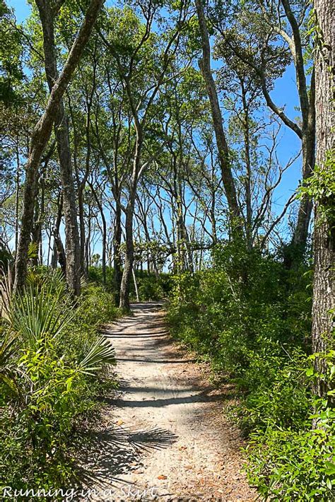 Boneyard Beach Florida - Big Talbot Island State Park « Running in a Skirt