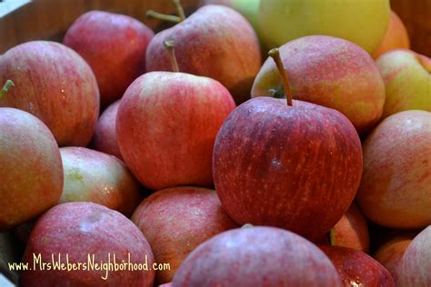 Crockpot Applesauce Recipe {With Michigan Apples!} - Mrs. Weber's ...