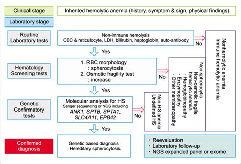 Stepwise process for genetic-based diagnosis of hereditary ...