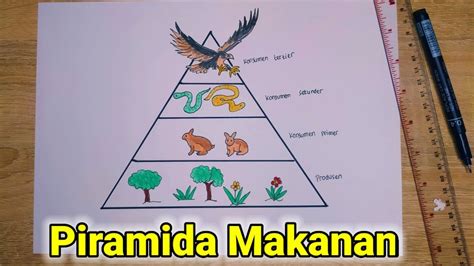 Cara Membuat Piramida Makanan - YouTube