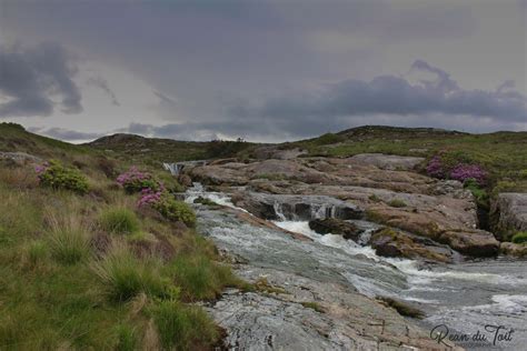 Wildlife, Travel & Nature Photography — Glengorm Castle grounds, Isle ...