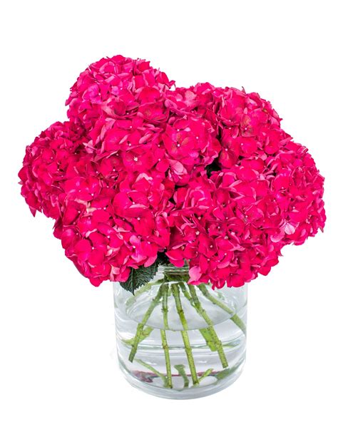 Pink Hydrangea Bouquet | Including A Seasonal Mix of Flowers by Flourish