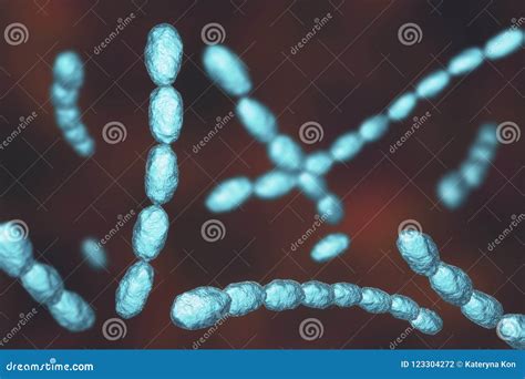 Haemophilus Ducreyi Bacteria Stock Illustration - Illustration of dermatology, scientific: 123304272