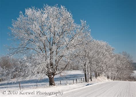 Winter in Iowa – Korwel Photography