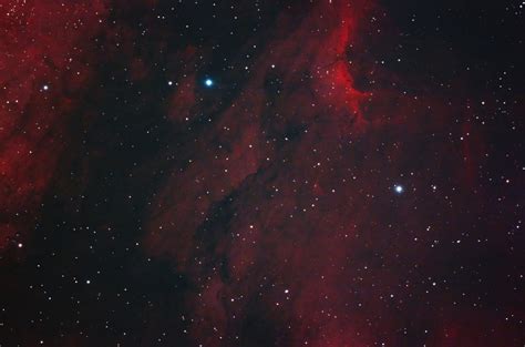 The Pelican Nebula from the City | Mike's Astrophotography Gallery & Blog