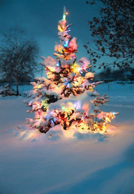 Snow covered Christmas tree with colorful lights | Christmas lights, Snow covered christmas ...