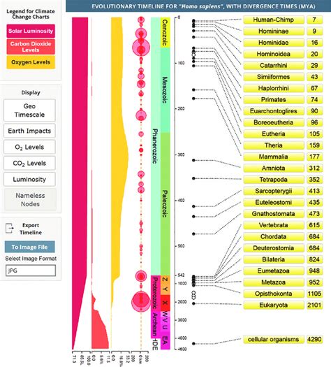 TIMELINE view showing search results for Homo sapiens. The evolutionary ...