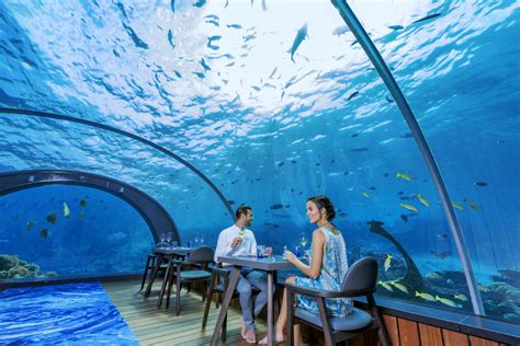 World-Class Dining: 5.8 Undersea Restaurant - VUE magazine