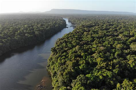 Running the Essequibo - Sidetracked