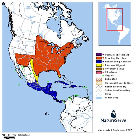 Birding Trails - Tennessee Wildlife Resource Agency | Indigo Bunting