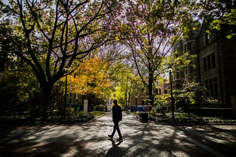 Fall foliage puts Penn’s Tree Campus accolades on display | Penn Today