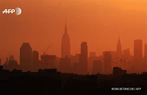 A group of birds fly past as the Manhattan skyline in New York on September 8, 2016. | Manhattan ...