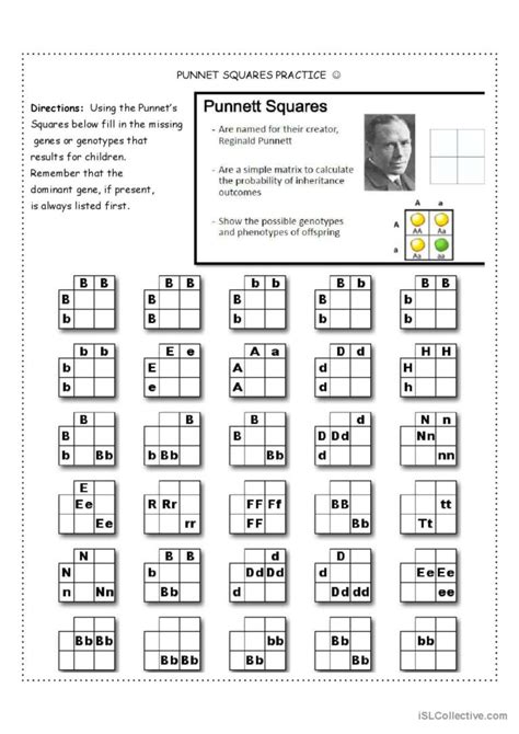 Punnet Squares Practice: English ESL worksheets pdf & doc