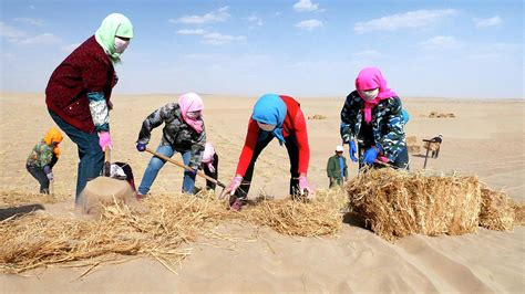 Desertification Prevention Photograph by Thierry Berrod, Mona Lisa Production - Pixels