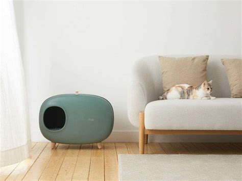 The 12 Best Cat Litter Box Enclosures [That Look Great Too]