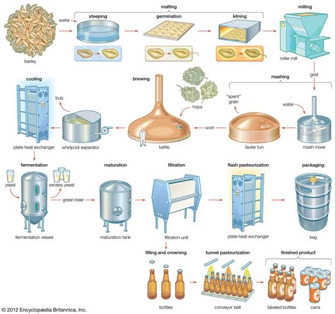 Malting | beverage production | Britannica