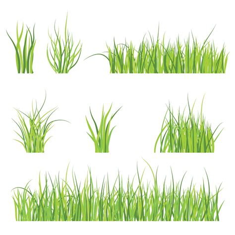 Set of green grass pattern 2565473 Vector Art at Vecteezy