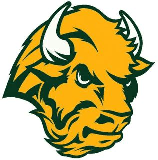 Bring on the Bison | Ndsu bison, Bison logo, Bison football