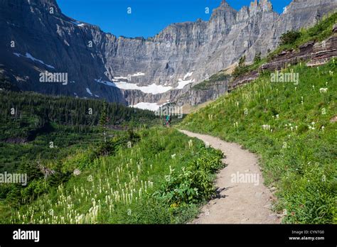 Hike in Glacier National Park,Montana Stock Photo - Alamy