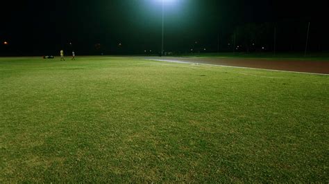 Details 100 grass ground background - Abzlocal.mx