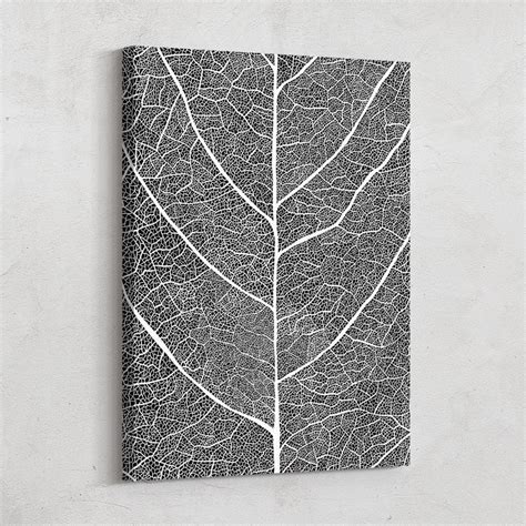 Leaf Veins Abstract Wall Art - Nature's Beauty – Inktuitive