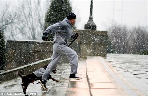 Rocky Training Stairs