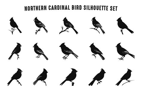 Northern Cardinal Bird Silhouettes Vector Set, Cardinal Bird Silhouette ...