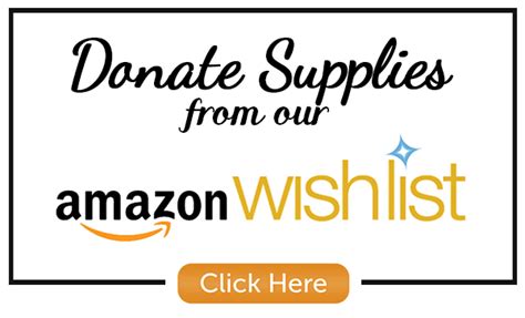 Amazon Wish List Logo