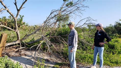 Hurricane Ian damage indigenous Calusa sites - News | University of Florida