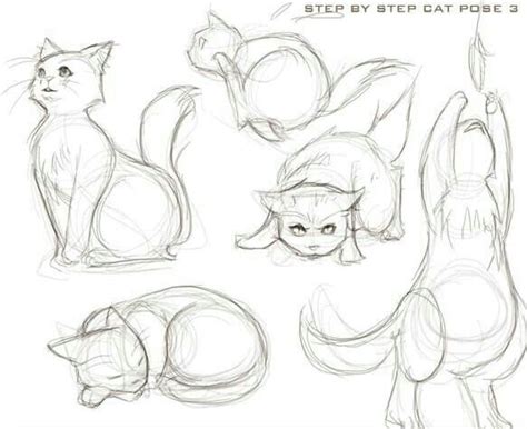 Pozycje | Draw a cat, How to draw a cat, Animal drawings