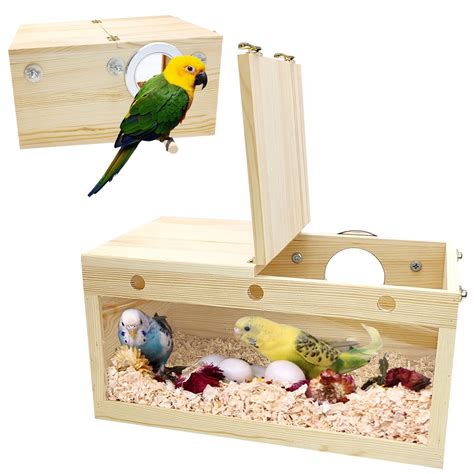 10 Best Toucan Bird Nest Boxes for Optimal Breeding Results - Hummingbirds Plus